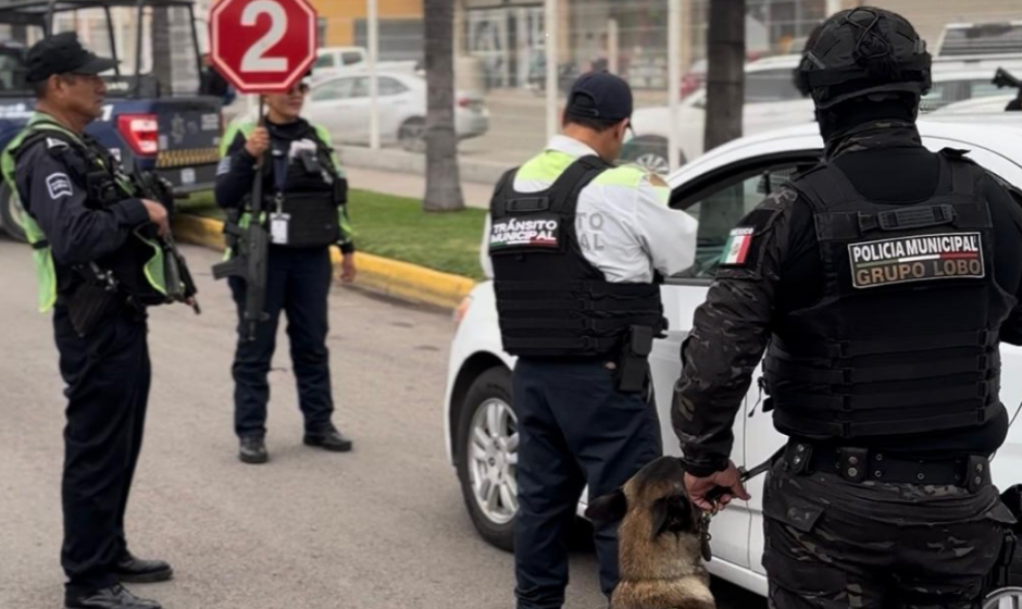 Seguridad en Irapuato