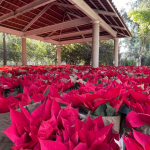 León 450 impulsa un modelo de gestión de residuos para una ciudad más limpia y sostenible