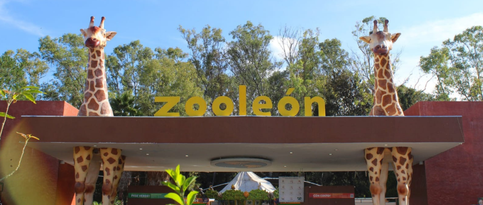 Bienestar animal León