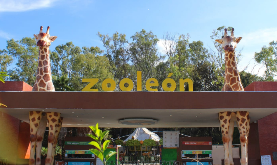 Bienestar animal León