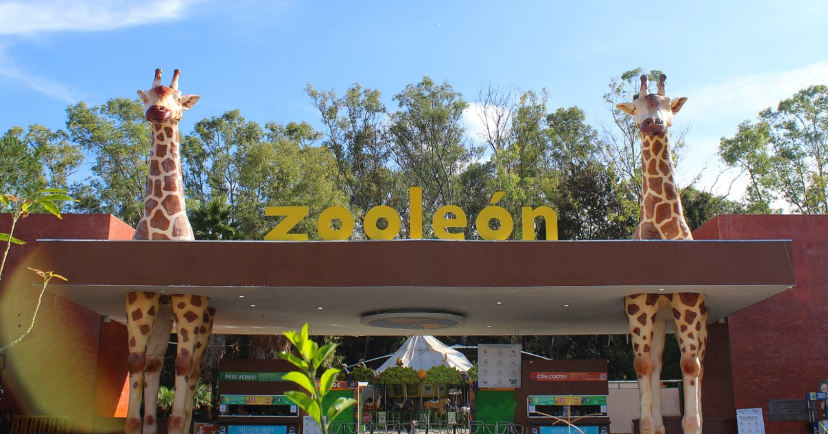 Histórica inversión en el Zoológico de León impulsa bienestar animal y modernización total