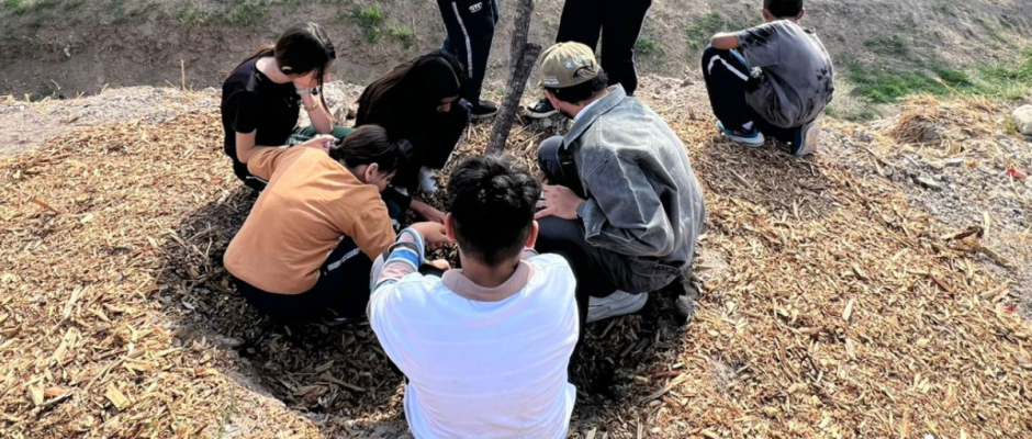 Cultura ambiental León