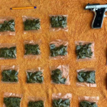 Estrategia CONFIA en Guanajuato: seguridad se fortalece con nuevas unidades y Plan de Carreteras Seguras