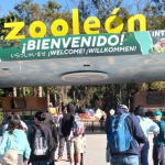 Redes de Mujeres sin Violencia fortalecen liderazgo y autonomía de más de 4 mil 700 leonesas