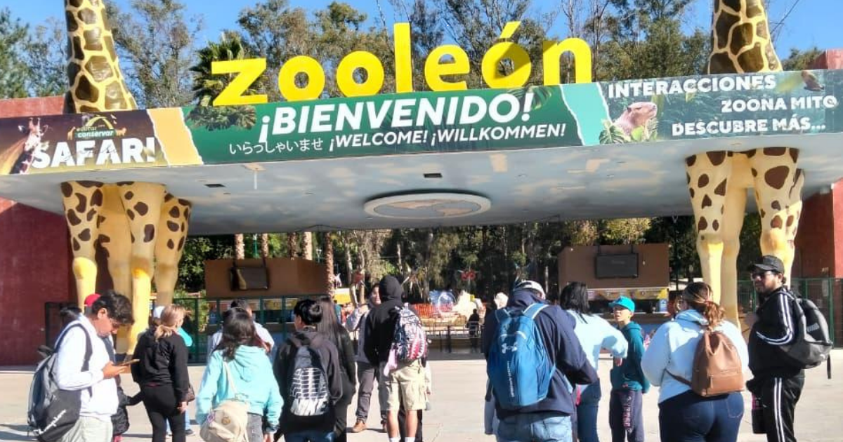 ZooLeón abre en Navidad y Año Nuevo y refuerza su papel como espacio familiar y educativo