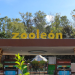 Comités de Colonos León fortalecen la participación ciudadana y la atención a las colonias