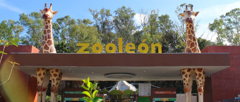 Zoológico de León