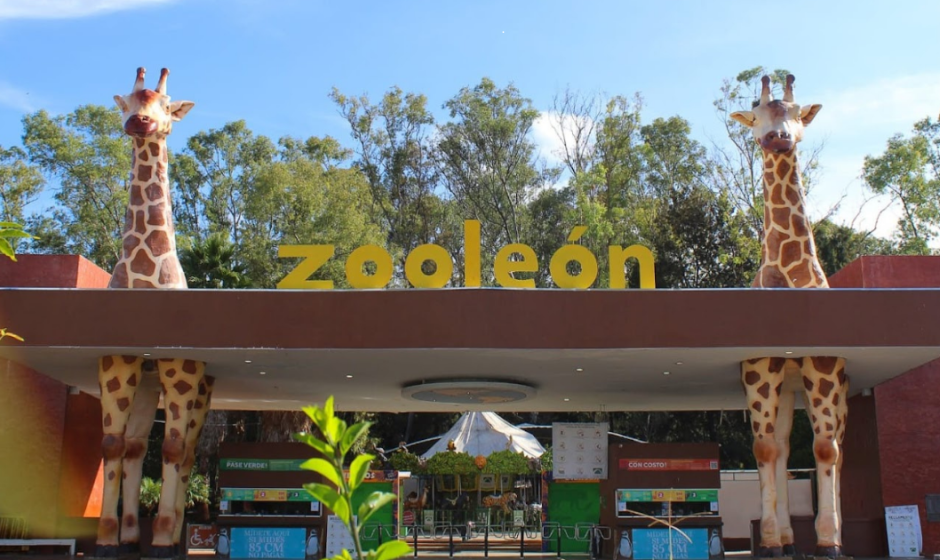 Zoológico de León