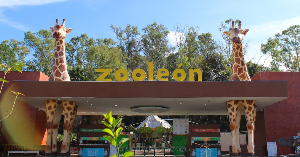 Zoológico de León sigue abierto al público y aclara situación legal sobre protección animal