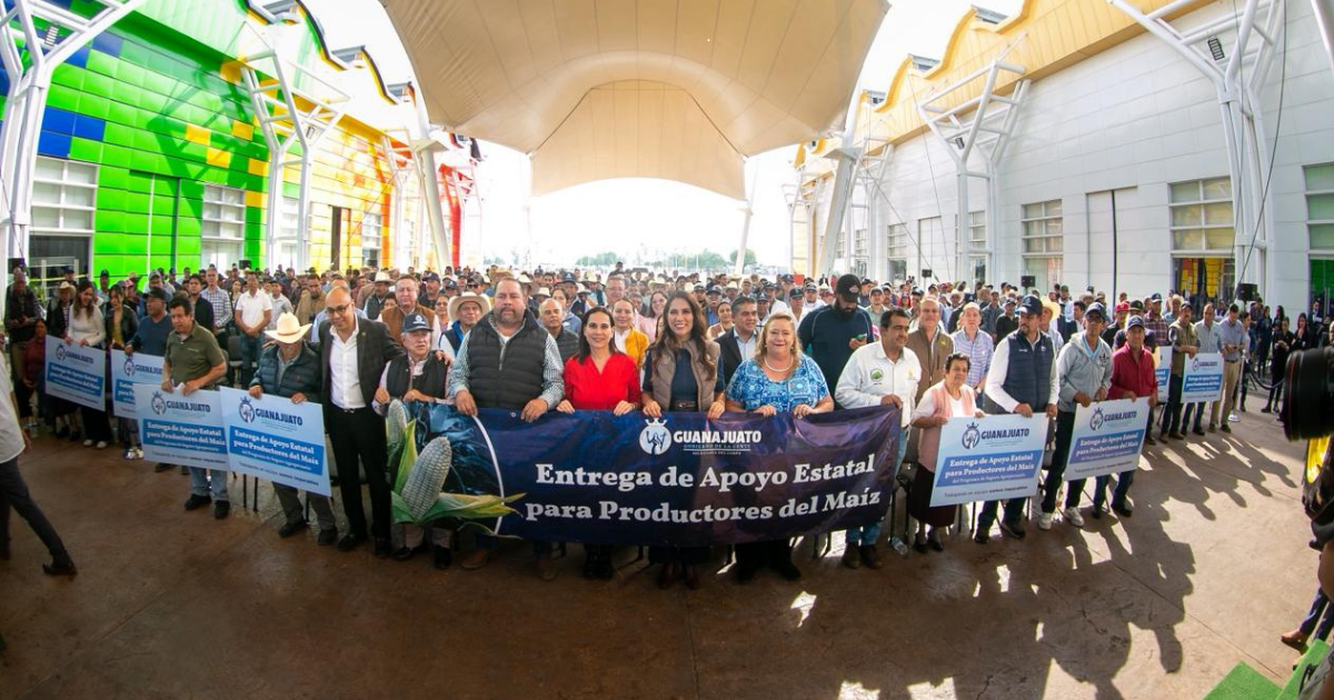 Apoyos al campo en Guanajuato: Gobernadora impulsa a productores de maíz con histórica inversión