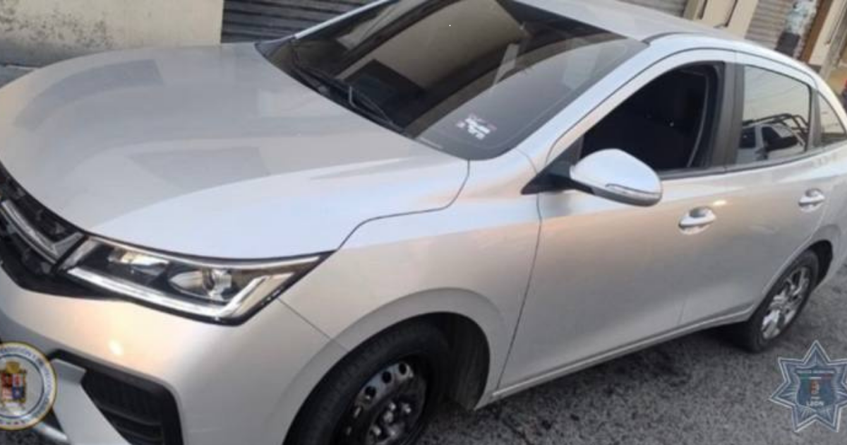 Detienen a presunto agresor en León tras rápido operativo de la Policía de León