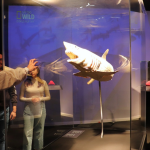 León fortalece su seguridad con 97 nuevas unidades para la Policía Municipal y Vial