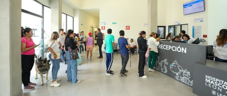 Hospital Mascotas León