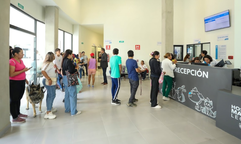 Hospital Mascotas León