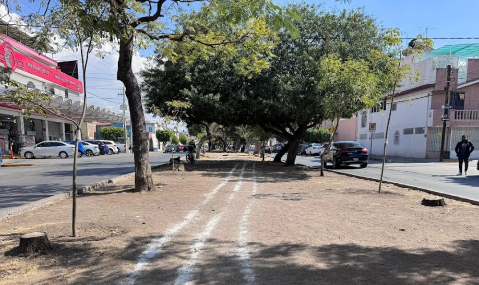 Presupuesto Participativo León