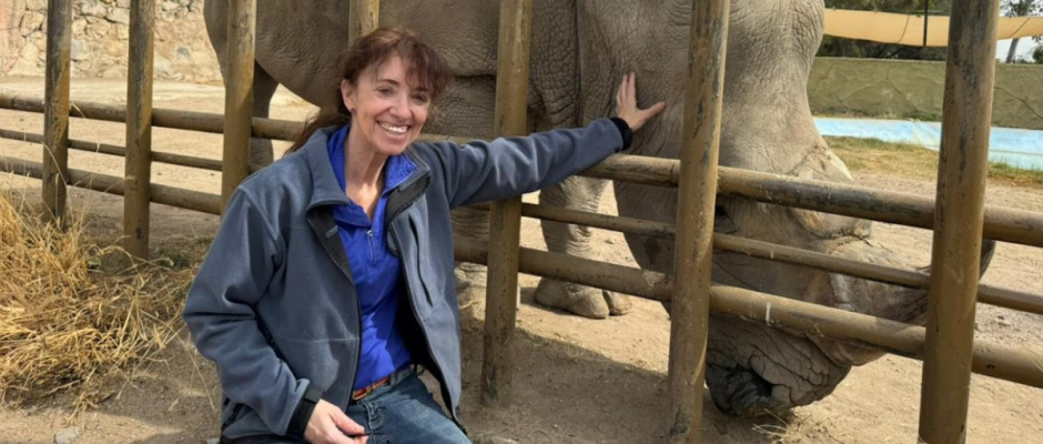 ZooLeón bienestar animal