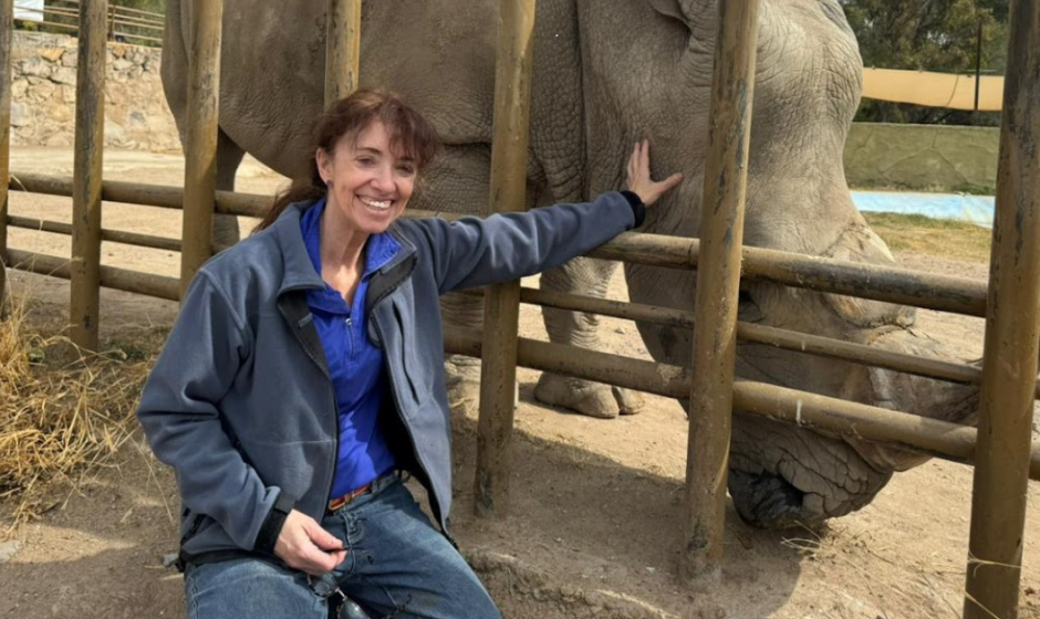 ZooLeón bienestar animal