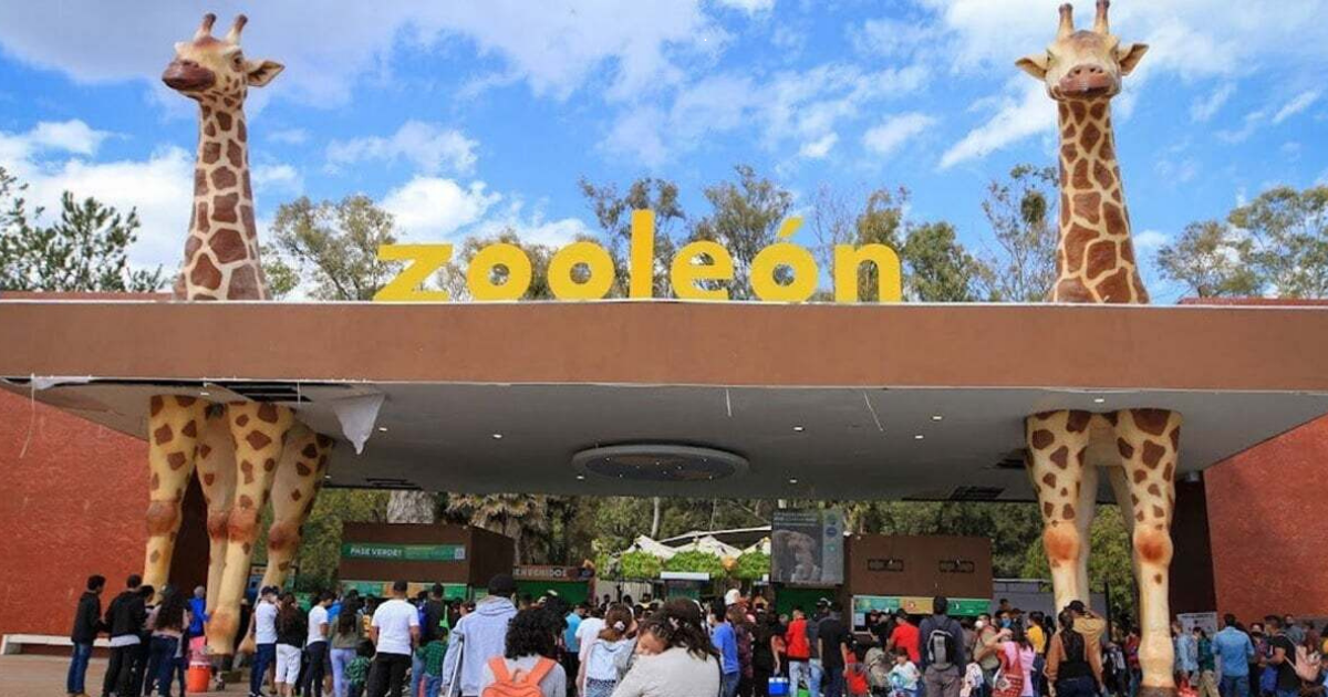 Ale Gutiérrez reitera compromiso con bienestar animal y transparencia en proceso del Zoológico de León