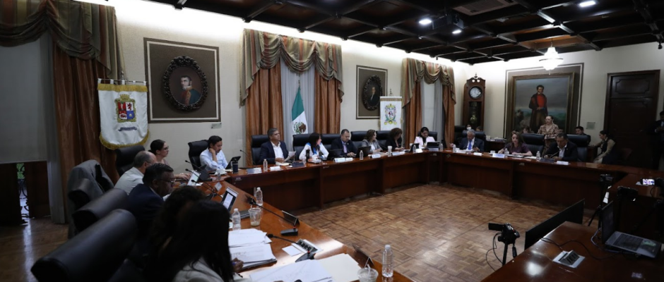 Consulta Ciudadana León