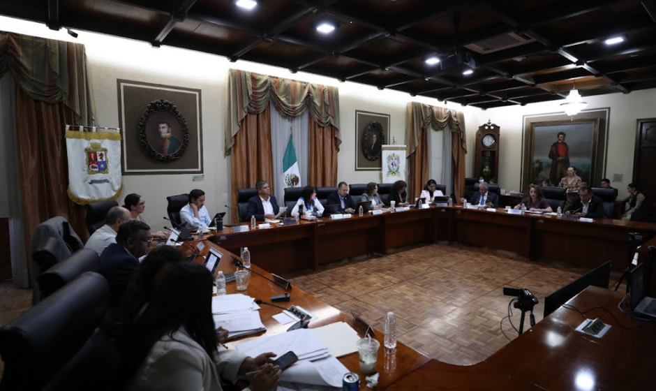 Consulta Ciudadana León