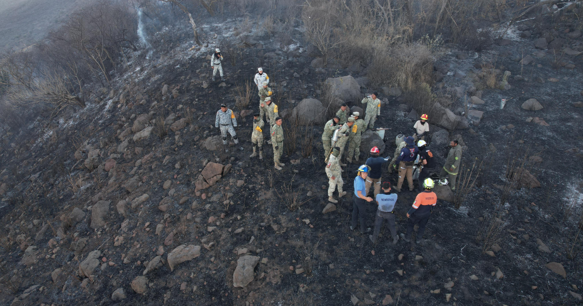 Incendio en el Cerro del Palenque moviliza a 95 brigadistas y deja 10 hectáreas afectadas