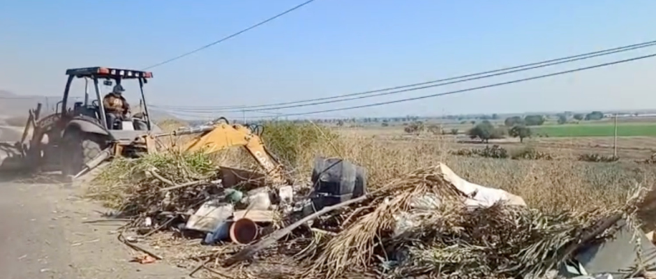 Limpieza en Purísima