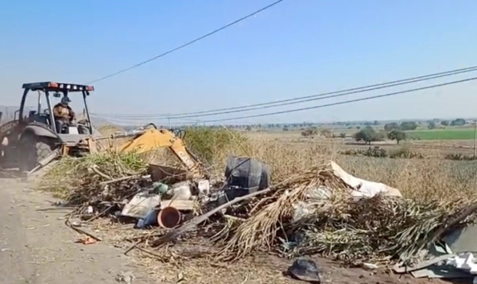 Limpieza en Purísima