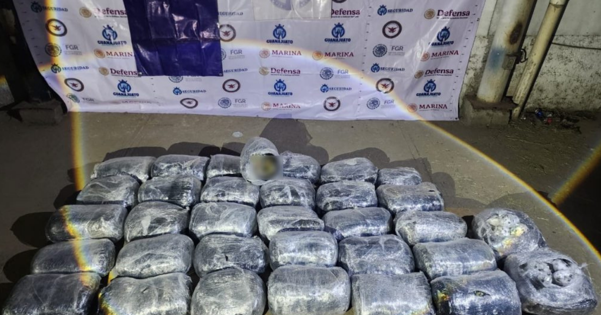 Aseguramiento histórico de narcóticos en Guanajuato frena más de 126 mil dosis