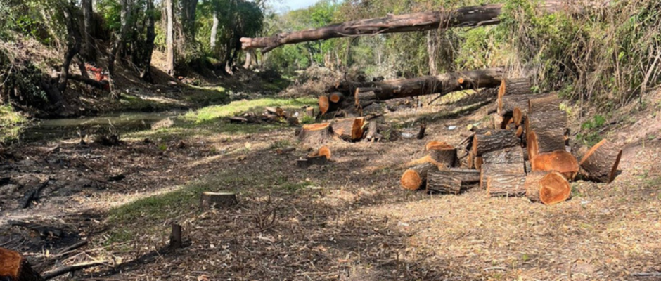 mantenimiento ambiental El Toyi