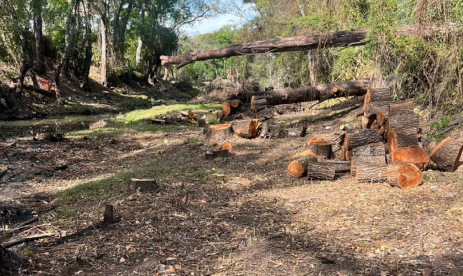 mantenimiento ambiental El Toyi