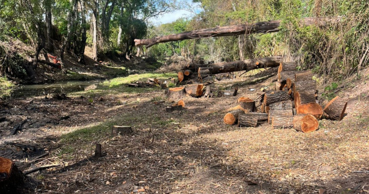 Gobierno de Jalpa aclara acciones ambientales en El Toyi y refuerza protección del río