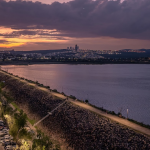 León refuerza la limpieza urbana con nuevas papeleras para desechos de mascotas
