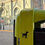 Parque Metropolitano de León impulsa el cuidado ambiental con el uso de mulch sustentable