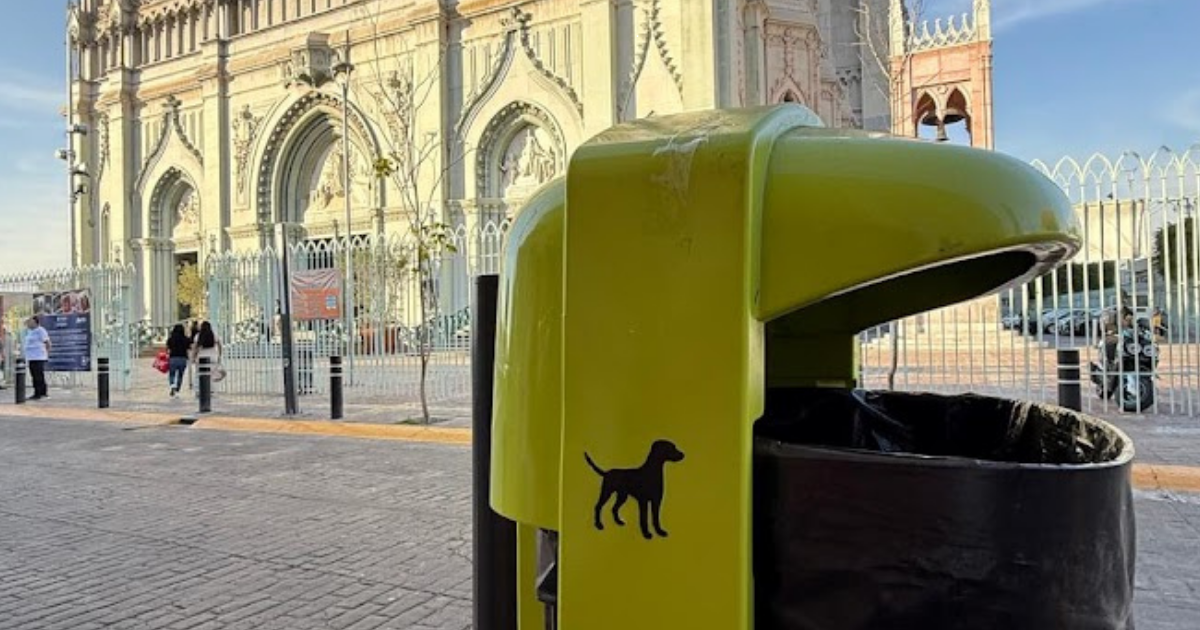 León refuerza la limpieza urbana con nuevas papeleras para desechos de mascotas