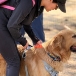 León se prepara para los Juegos Latinoamericanos de Policías y Bomberos 2026