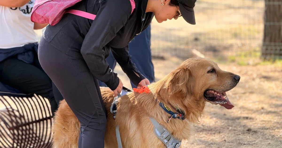 Parque Metropolitano inaugura zona pet friendly sin correa en León