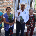 Purísima Digital avanza con fibra óptica y promete internet de alta velocidad para todos