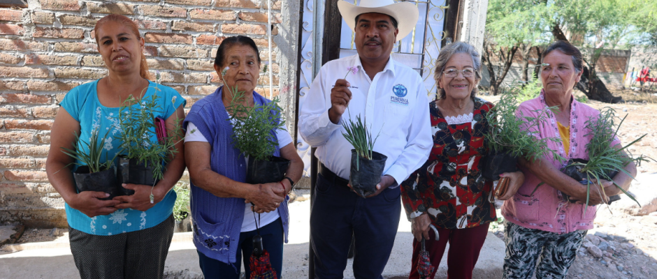 Asfaltado Potrerillos
