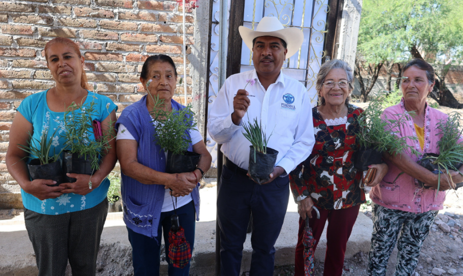 Asfaltado Potrerillos