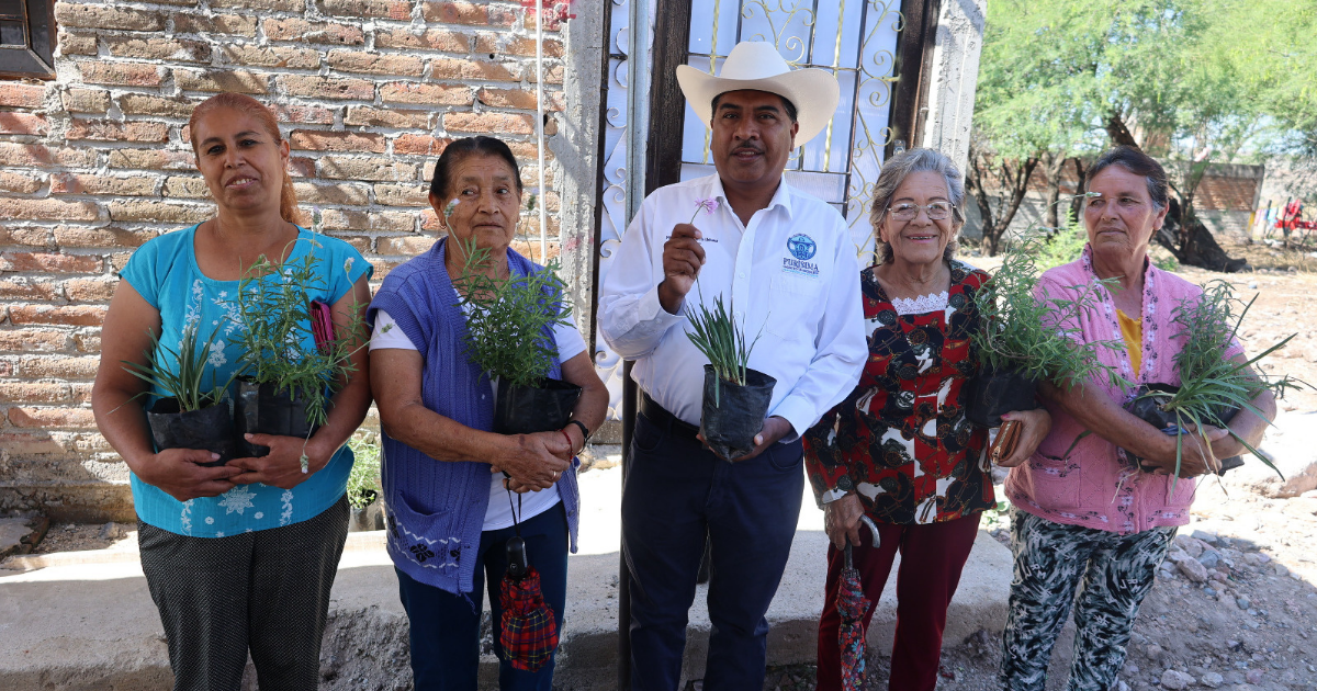Asfaltado Potrerillos transforma movilidad y calidad de vida en la comunidad