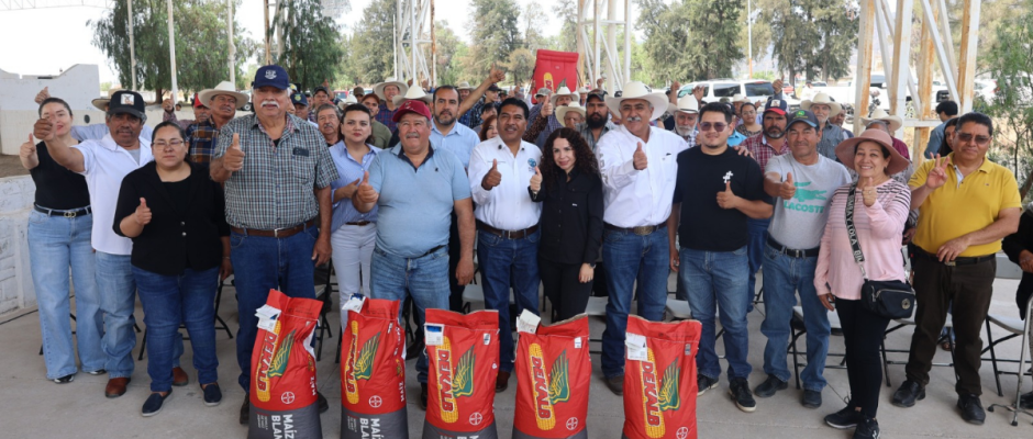 Semilla certificada campo