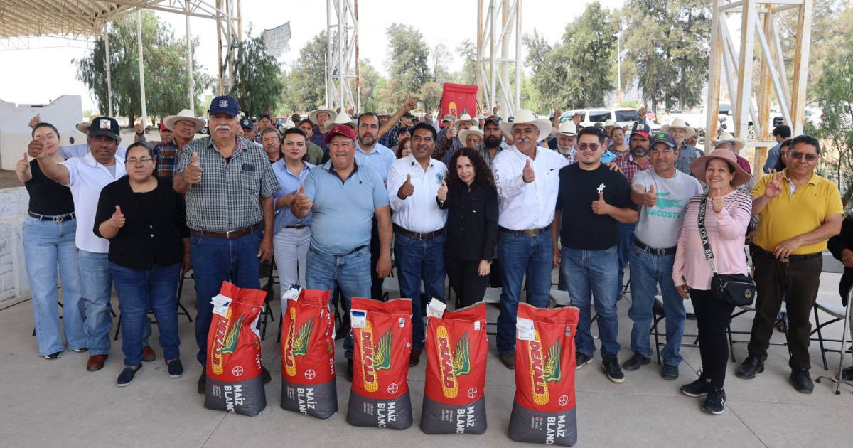 Semilla certificada impulsa producción agrícola y fortalece el campo en Purísima