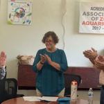 Seguridad León: aseguran armas, drogas y más de 2 mil detenidos en una semana