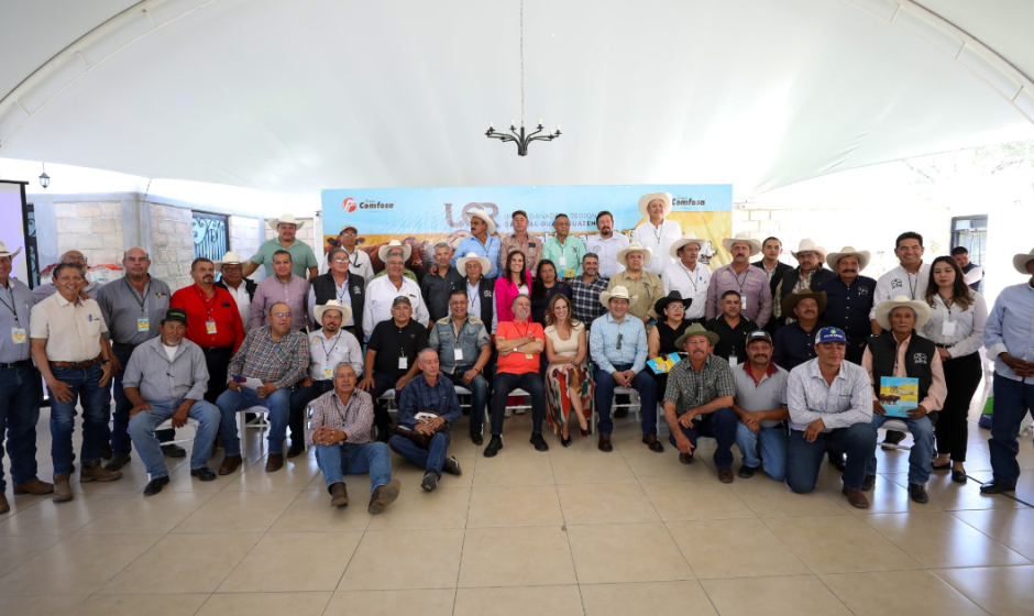 impulso al campo León