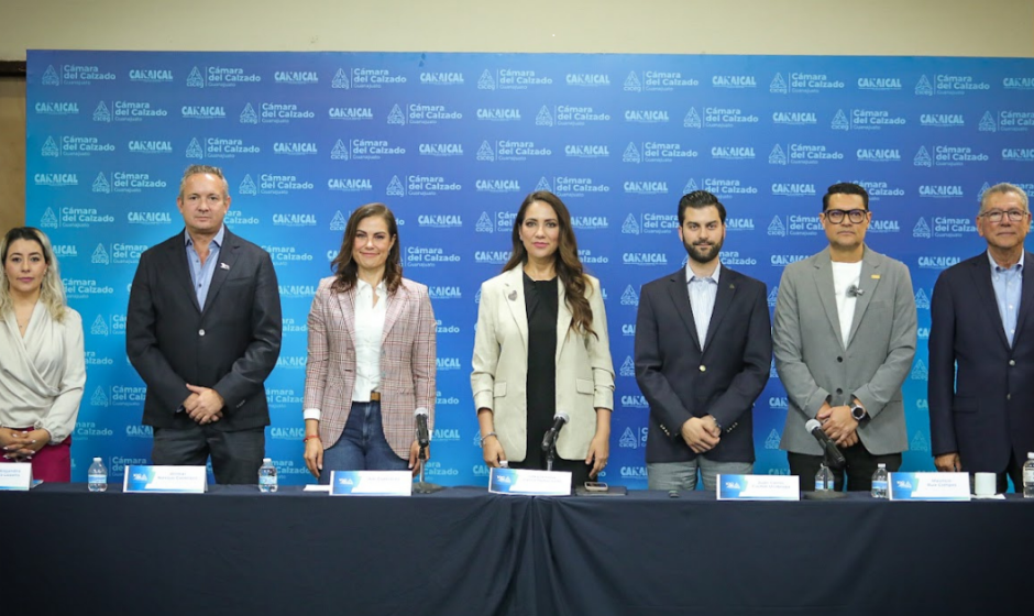 industria cuero-calzado