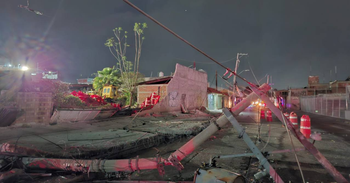 Lluvia en León provoca caída de árboles y activa operativos de emergencia