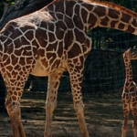 Parque Metropolitano fortalece a guardaparques con capacitación y bienestar laboral