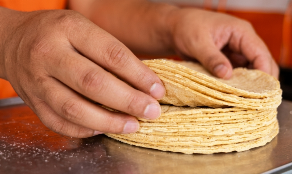 precio tortilla León