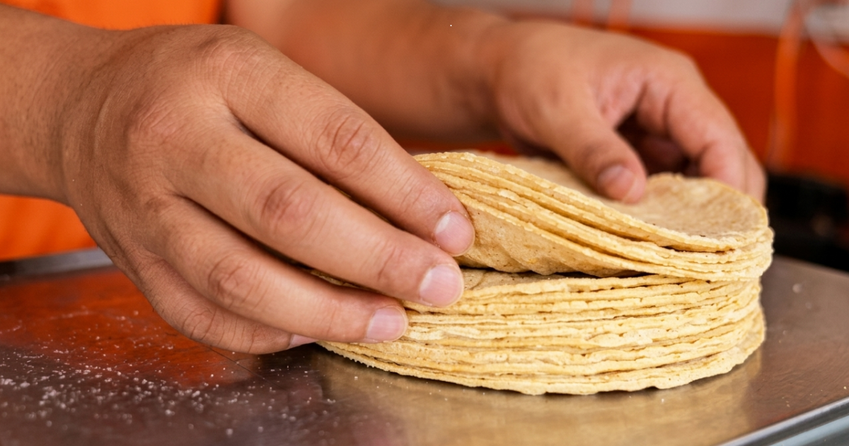 Precio de la tortilla en León se mantiene estable gracias a nuevo acuerdo estratégico