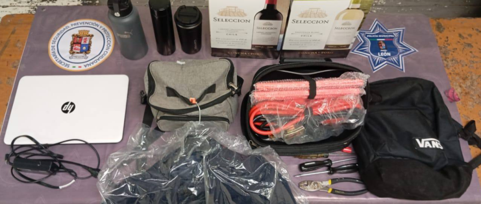 robo a vehículo León